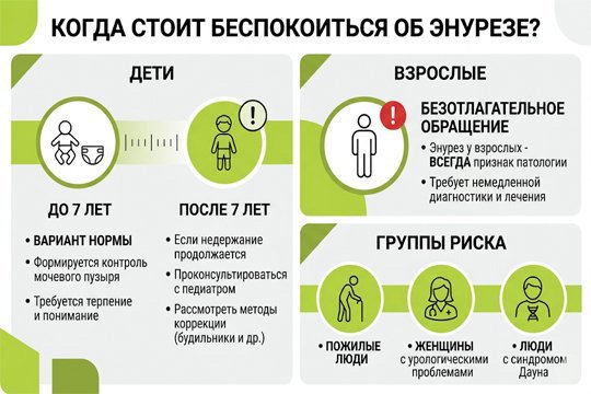 Инфографика об энурезе у детей и взрослых